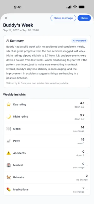 Buddy's Week on iPhone: an AI summary of the week, marked AI-Powered, with a line under it saying it was written by AI from the owner's own entries and is not veterinary advice; below it, the week's numbers for day and night ratings, meals, potty and accidents, each compared with the week before.